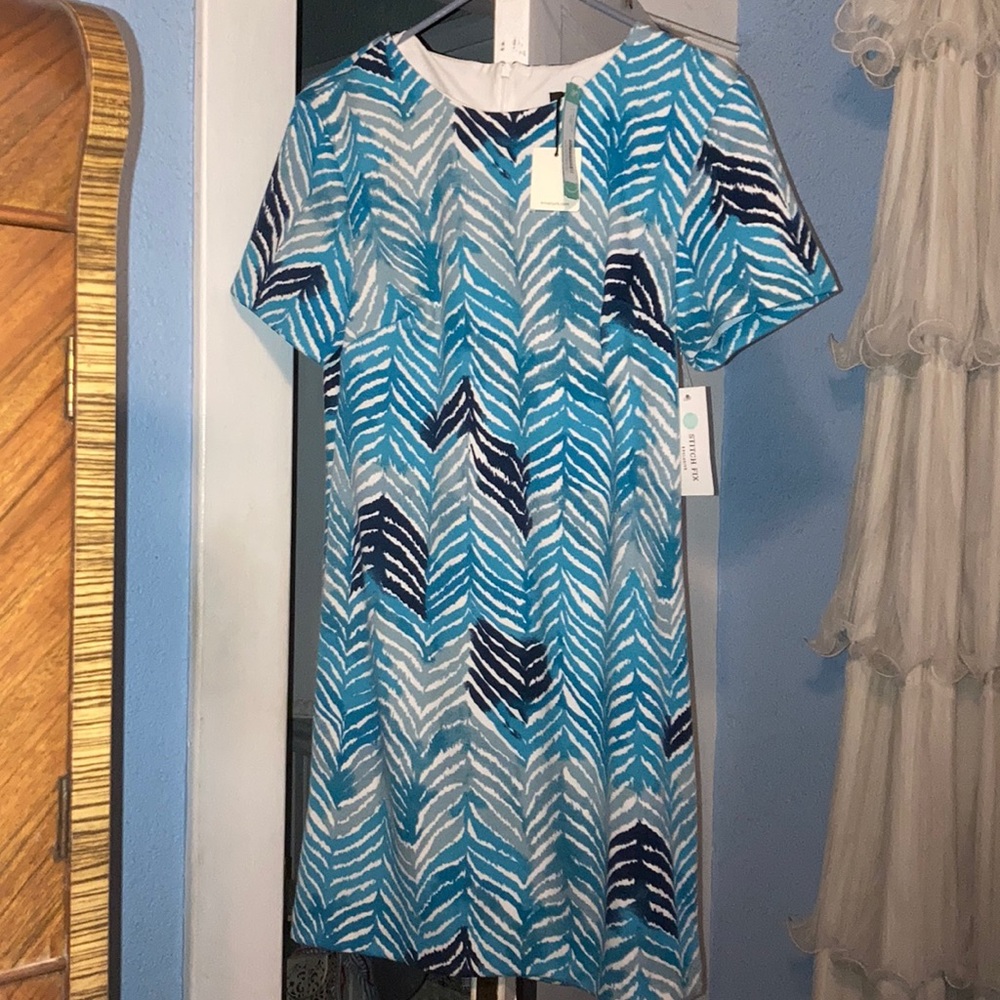 Tina Turk dress